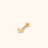 Close-up of a 14K solid gold Aquarius zodiac symbol tragus earring on a white background, Minimalist gold ear stud featuring the Aquarius water-bearer zodiac design for a tragus piercing.
