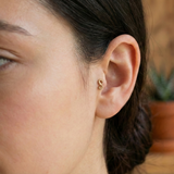 14K Solid Gold Seahorse Tragus Earring – Unique Cartilage Piercing Stud