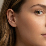 14K Solid Gold Paw Print Tragus Earring – Animal Lover Cartilage Stud