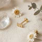 14k Solid Gold Aquarius Zodiac Tragus - Stud Astrology Earring